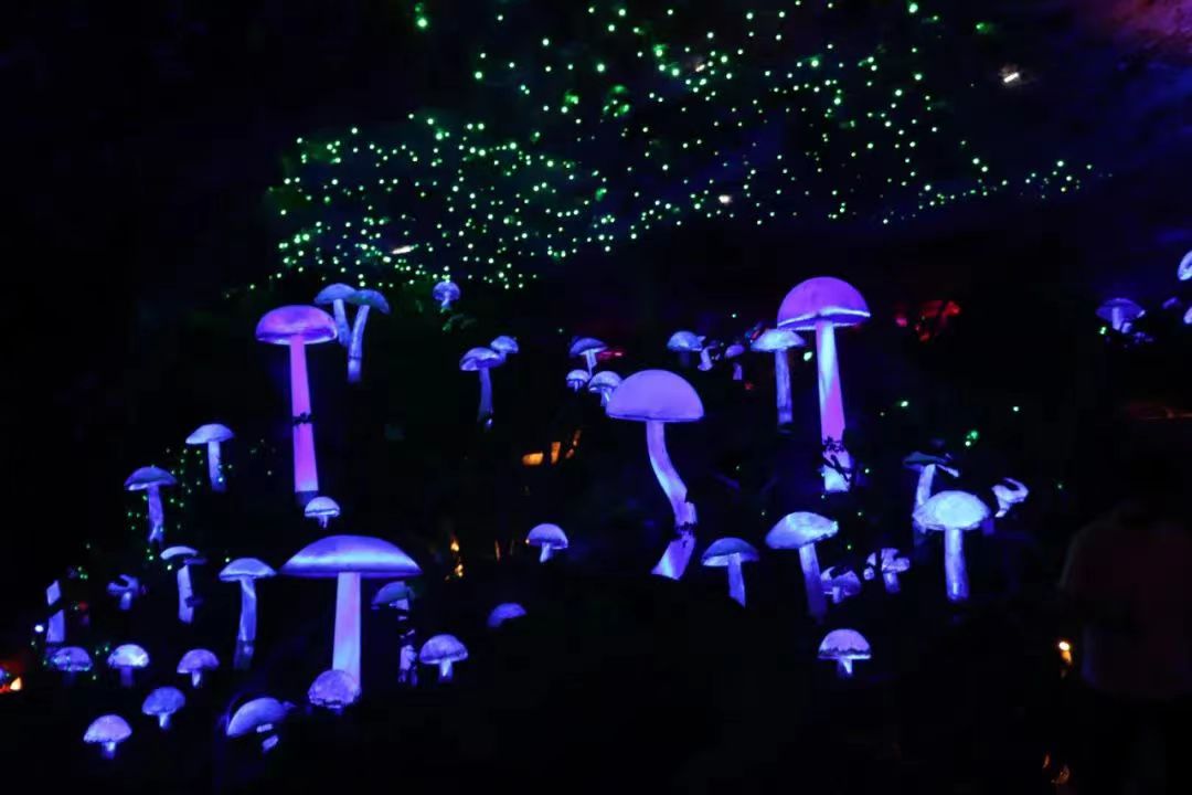 4f84b30b-a6b2-4856-9fc0-9f6f9dfe6bc0.jpg