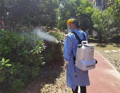 灭蚊蝇3.jpg