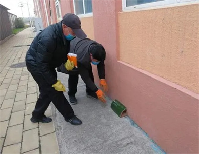 灭鼠1.webp.jpg