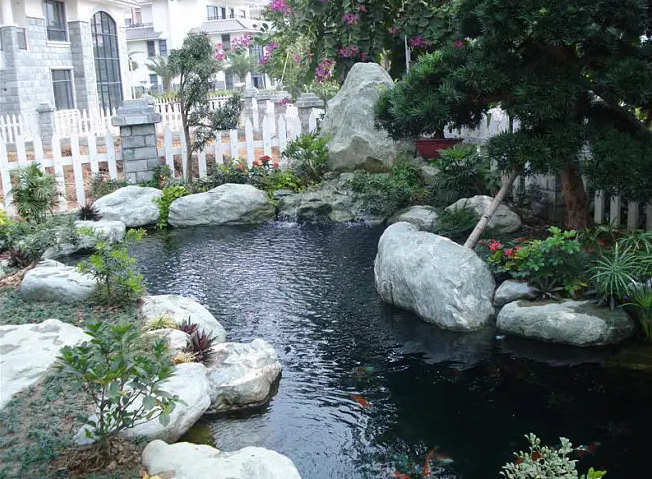 鱼池清洗.png