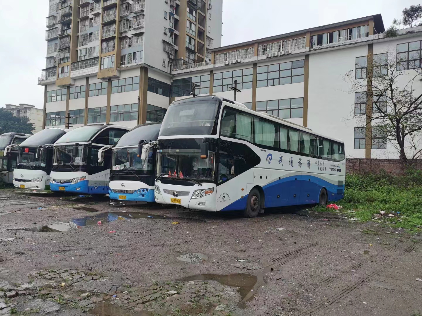 微信图片_20231110113120.jpg