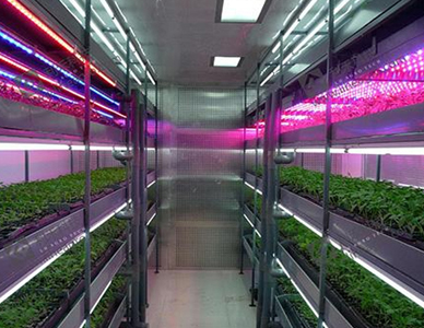 1702266917904823.jpg 植物组培实验室工程.jpg
