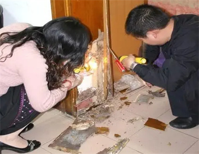 白蚁防治4.jpg