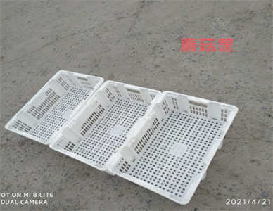 微信截图_20250524173133.jpg