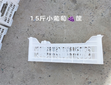 微信截图_20250524173320.jpg